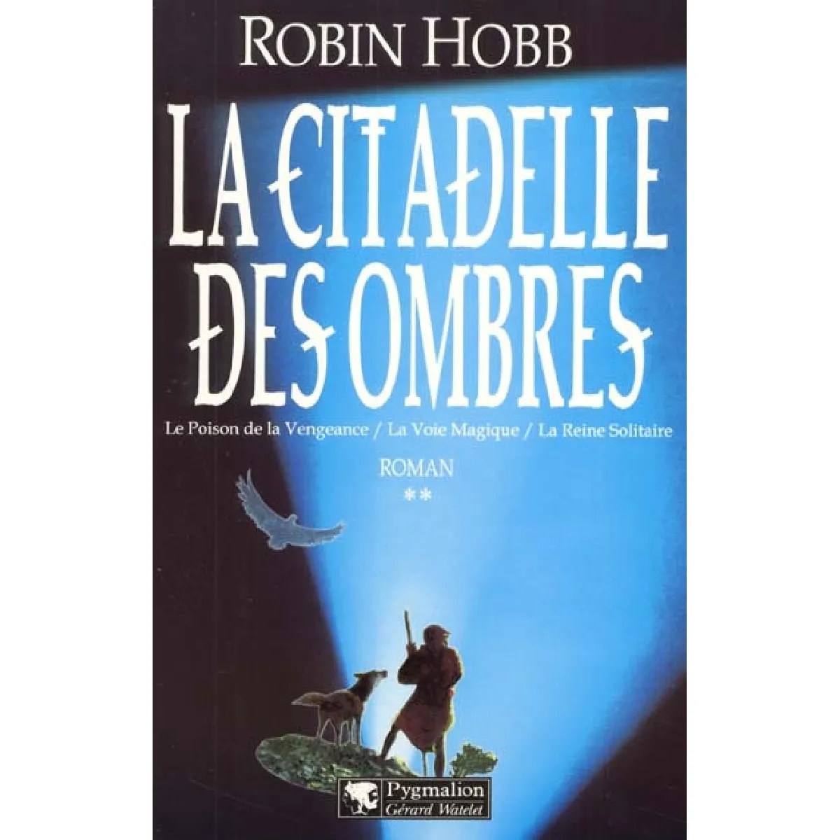 La citadelle des ombres. Vol. 2 · Occasion
