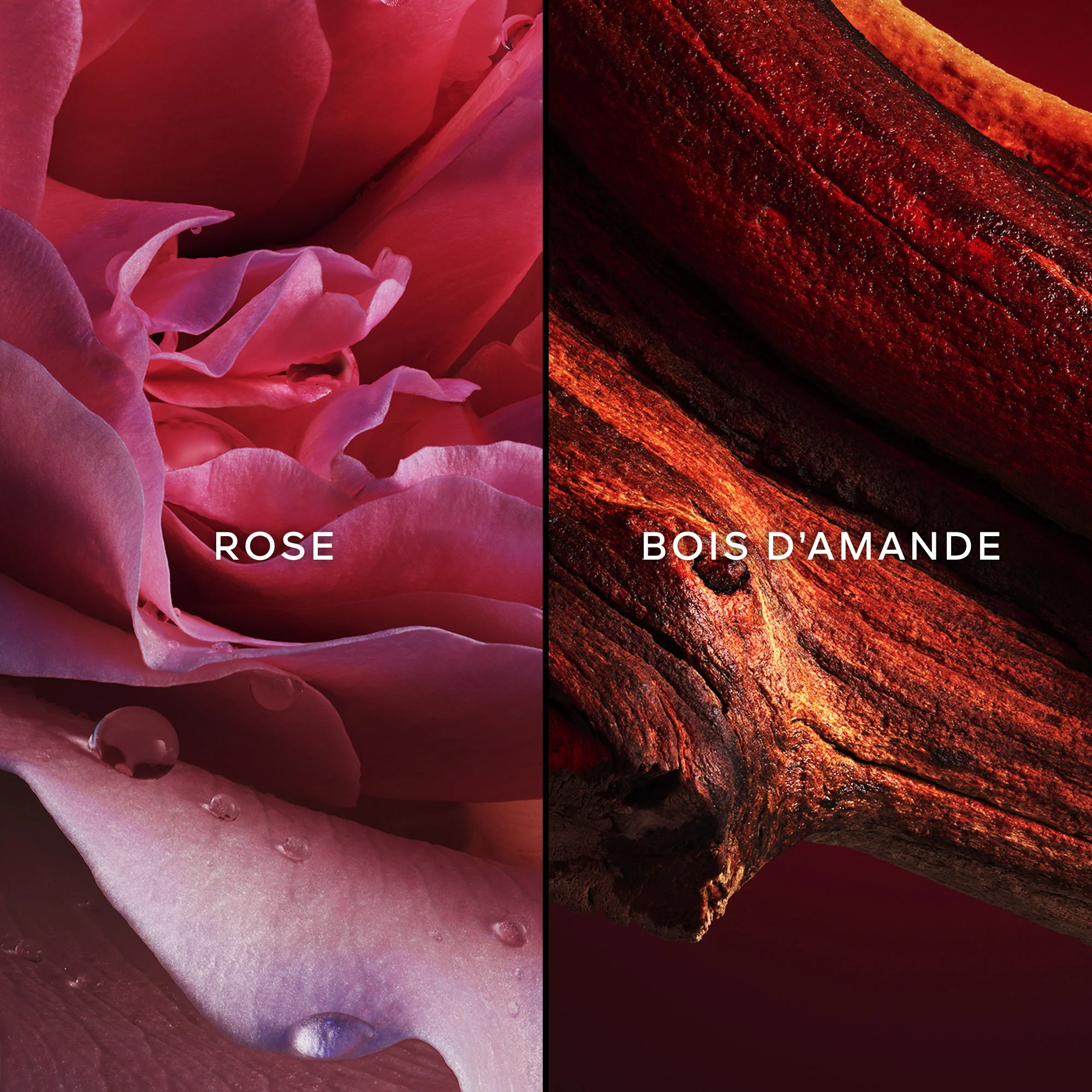 Champs-Élysées Eau de Toilette |