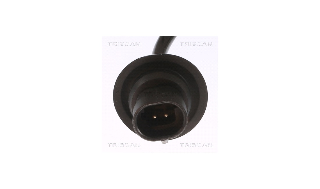 ABS sensor