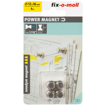 Magneet pion Neodymium zilver 12x16mm 4 stuks
