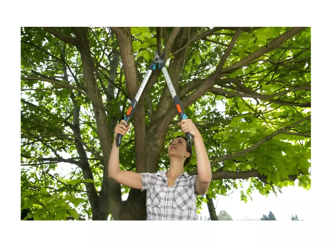 GARDENA Coupe-branches telescopique TeleCut 520-670 B - Lame franche - Coupe O42mm max - Anti adherence - Garantie 25 ans 12005-