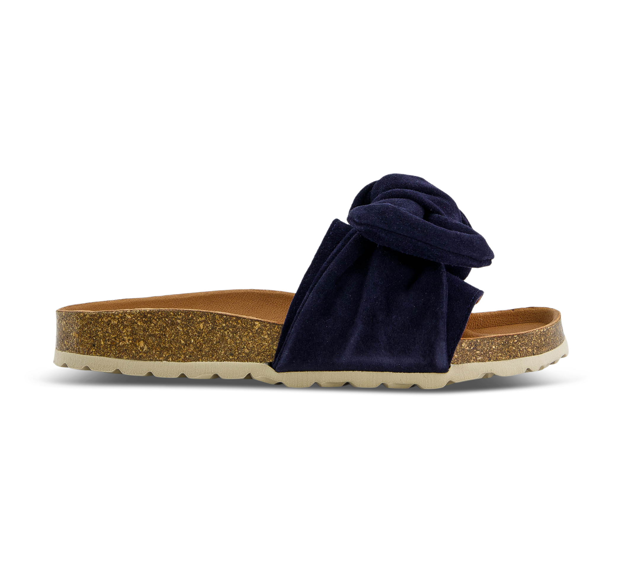 Verbenas Roxy blau