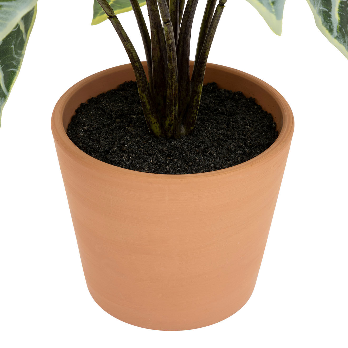 Atmosphera Alocasia artificiel vert - 28x28x43 cm