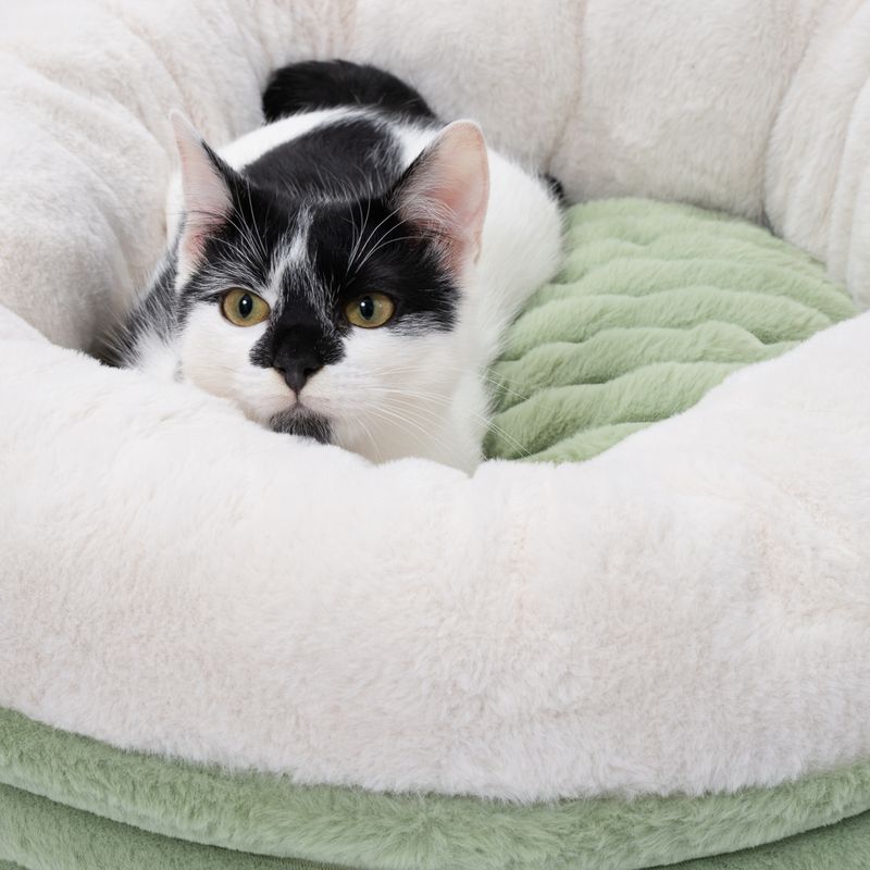 Panier Modern Living Vasa pour chat et petit chien