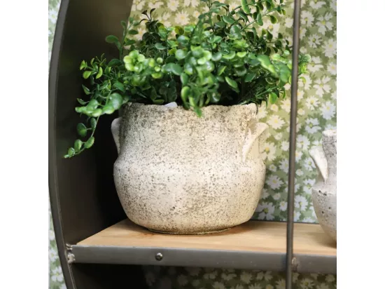 ~ Cache-pot 