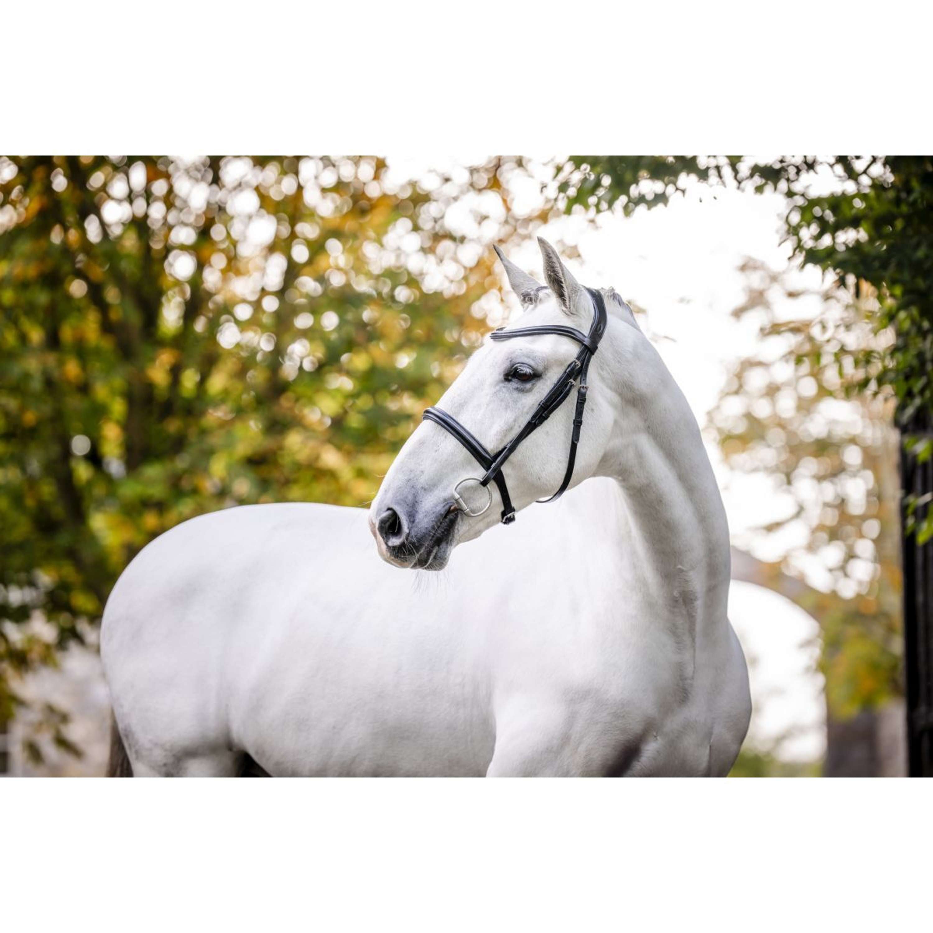 Horseware Hoofdstel Cavesson Zwart