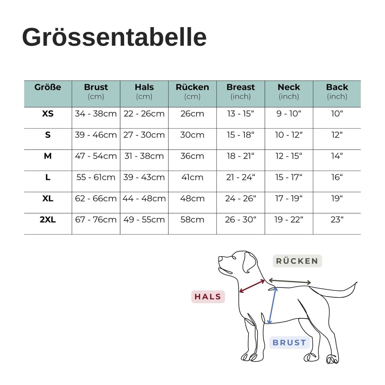 PAW WOW Hundejacke IMMI Blau M
