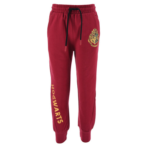 TEAM HEROES  - JOGGING HARRY POTTER - Violet