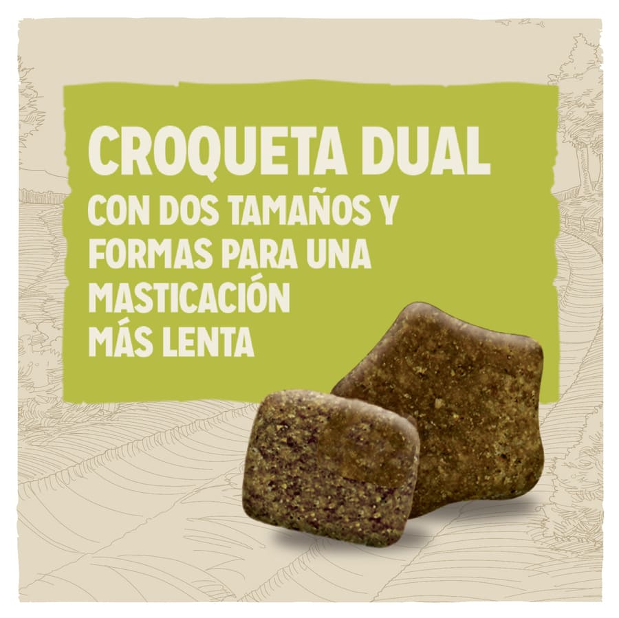 Ração para cães adultos Dog Chow com cordeiro