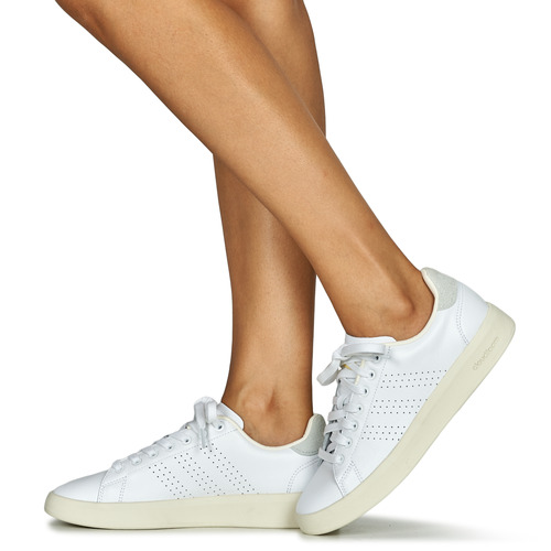 Adidas Sportswear - ADVANTAGE PREMIUM - Blanc / Beige