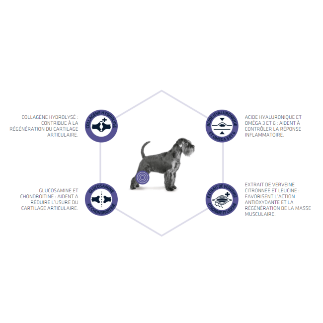 Croquettes Advance Veterinary Diets Articular Senior pour chiens