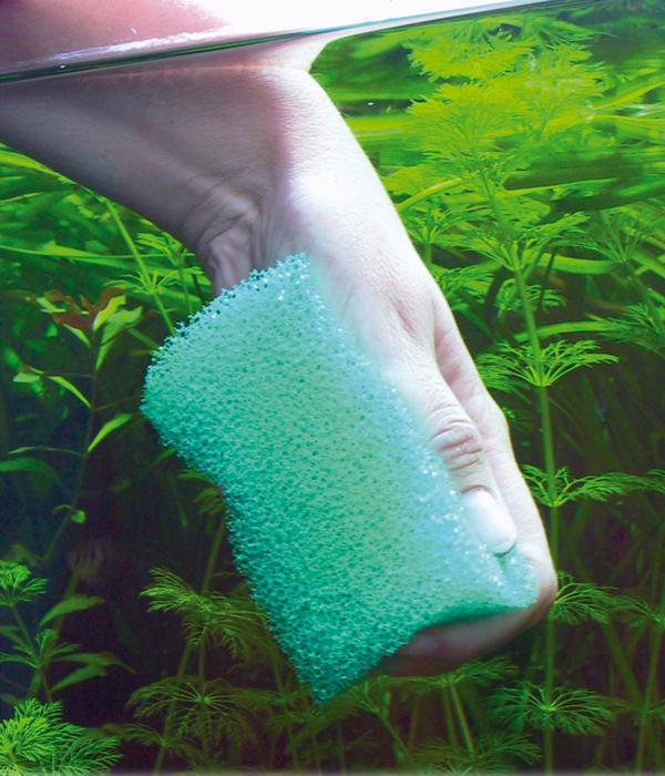 JBL Reinigungsschwamm Spongi für Aquarien