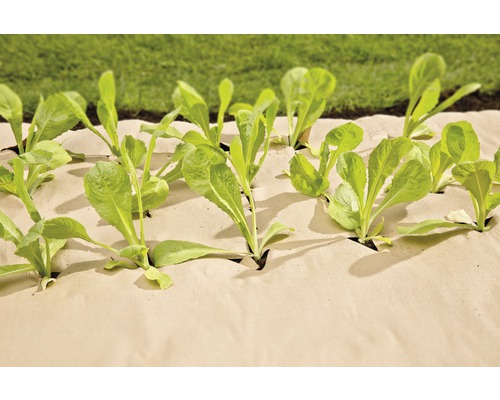 FloraSelf mulchpapier 90 cm x 10 m