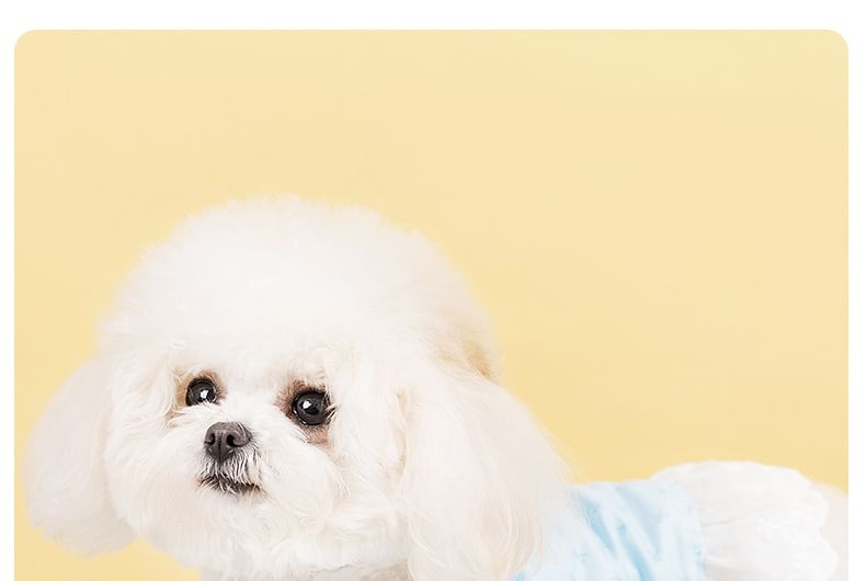 Cissilli - Strik Pet Jurk