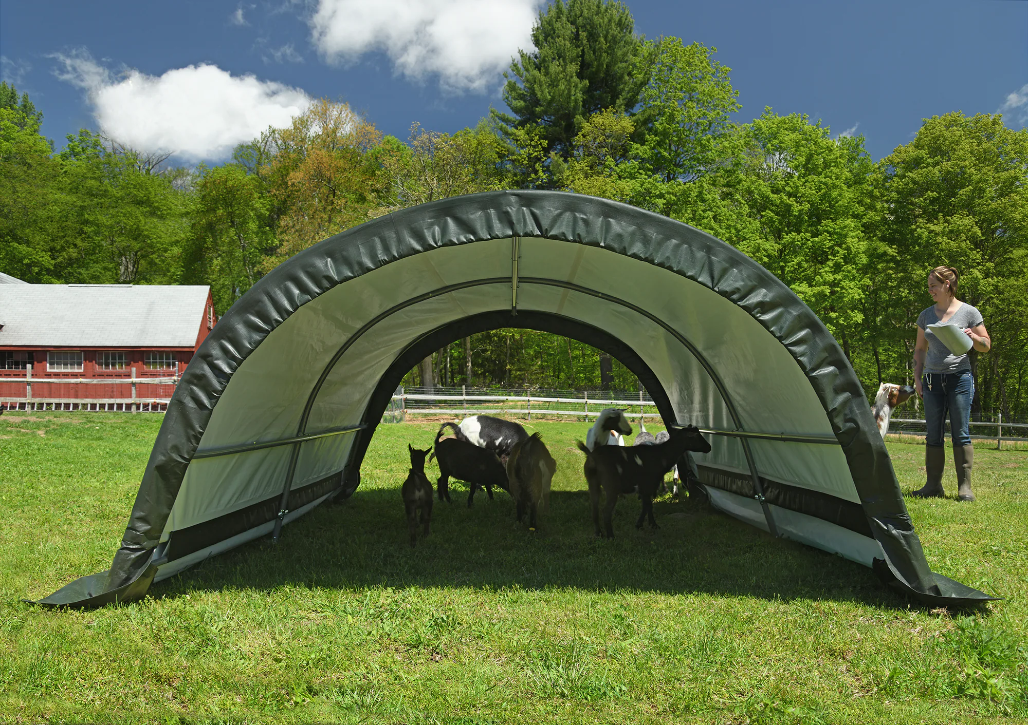 ShelterLogic Run-In-Weidezelt 7,8 m²