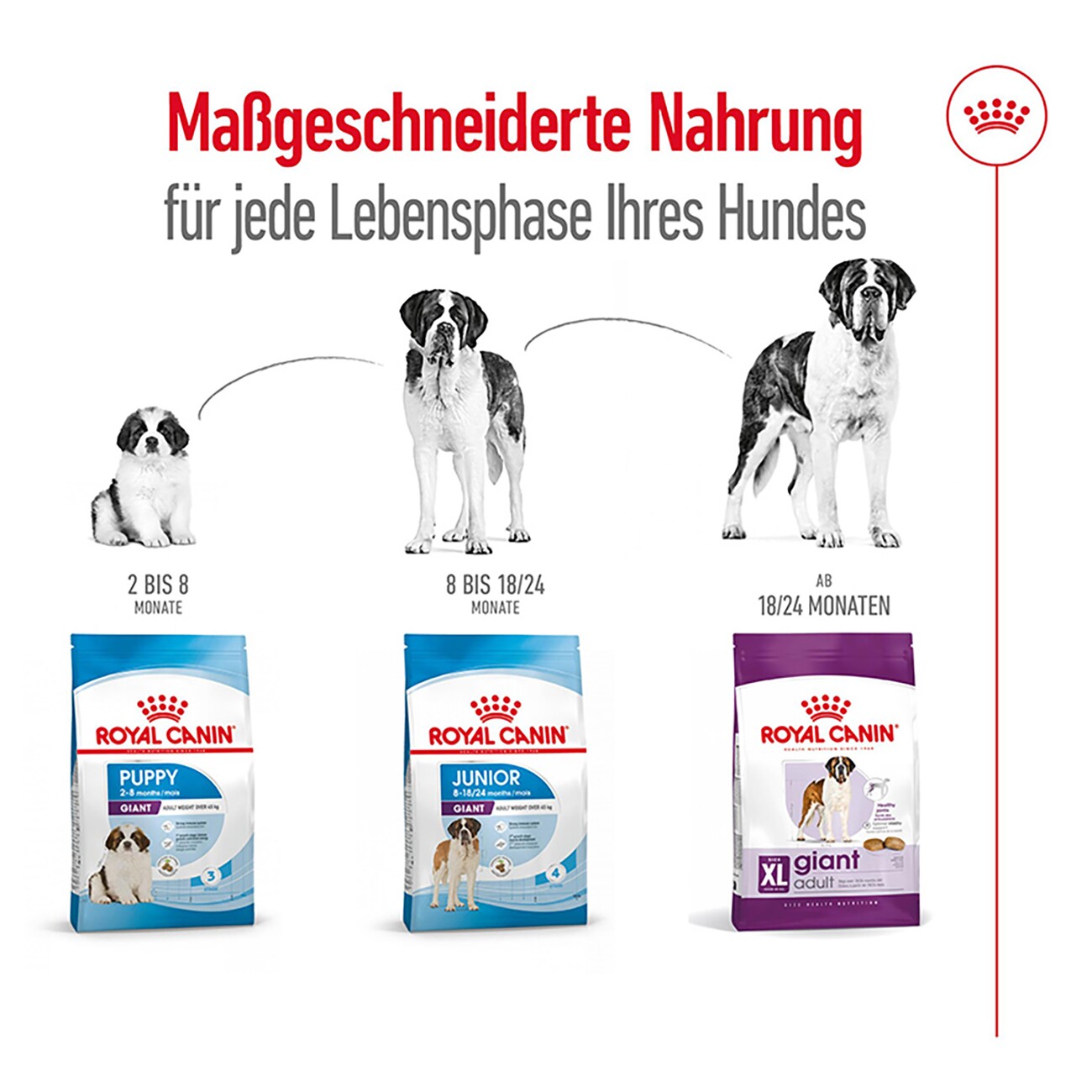 ROYAL CANIN Giant Adult 4 kg