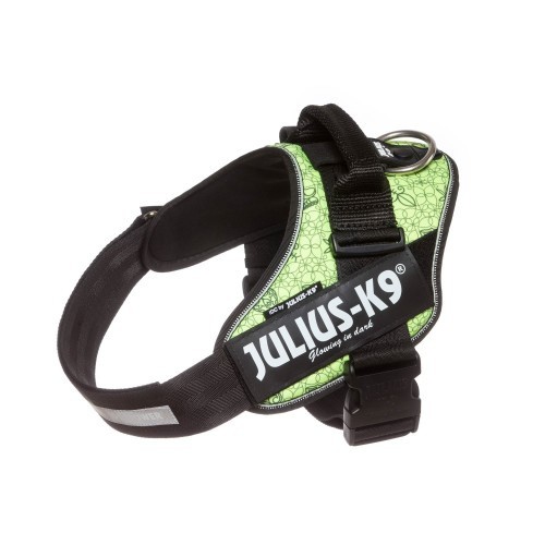 Coleira para cães Julius K9 Atilla, verde limão