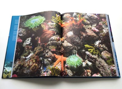 Blue Planet II (Hardback)