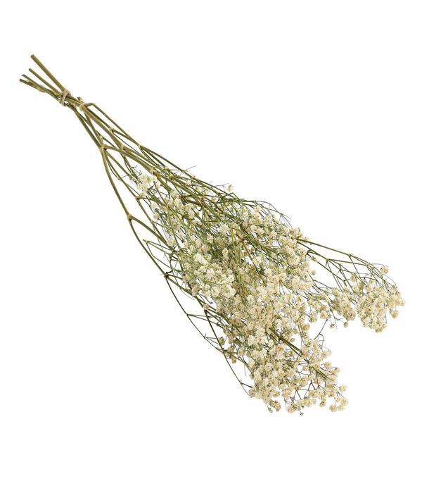 Trockenblumenbund Schleierkraut, weiß