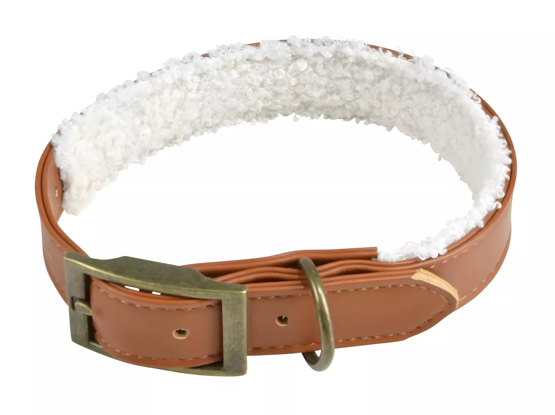 Collier pour Chien 