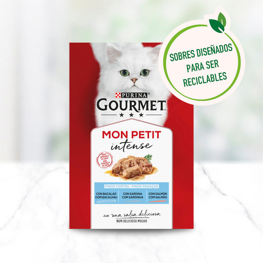 Seleção Gourmet Mon Petit de Peixes ao Molho