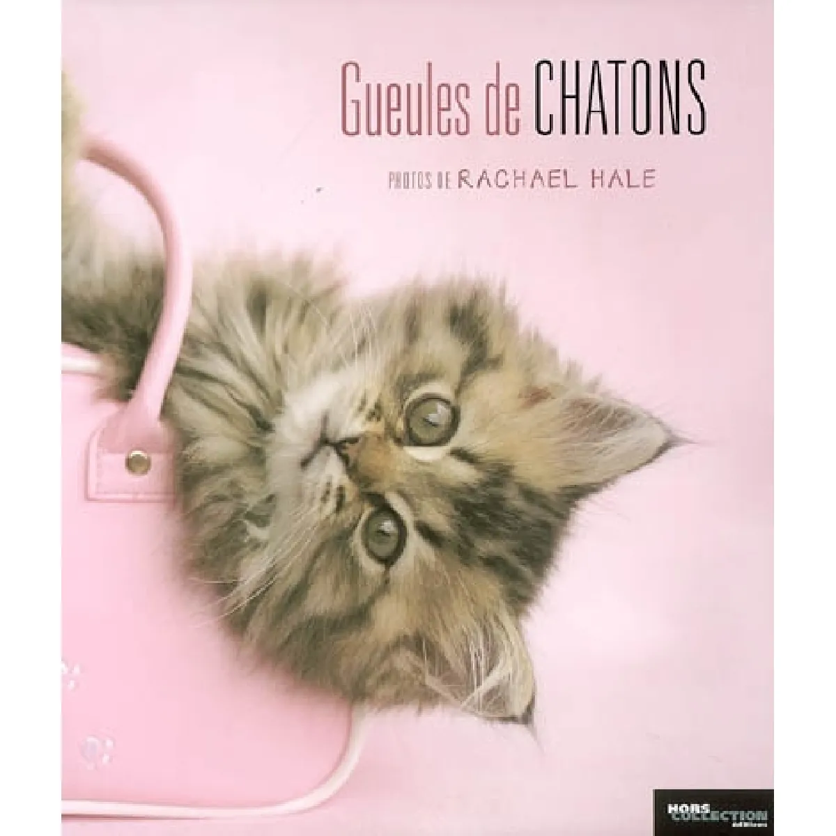 Gueules de chatons · Occasion