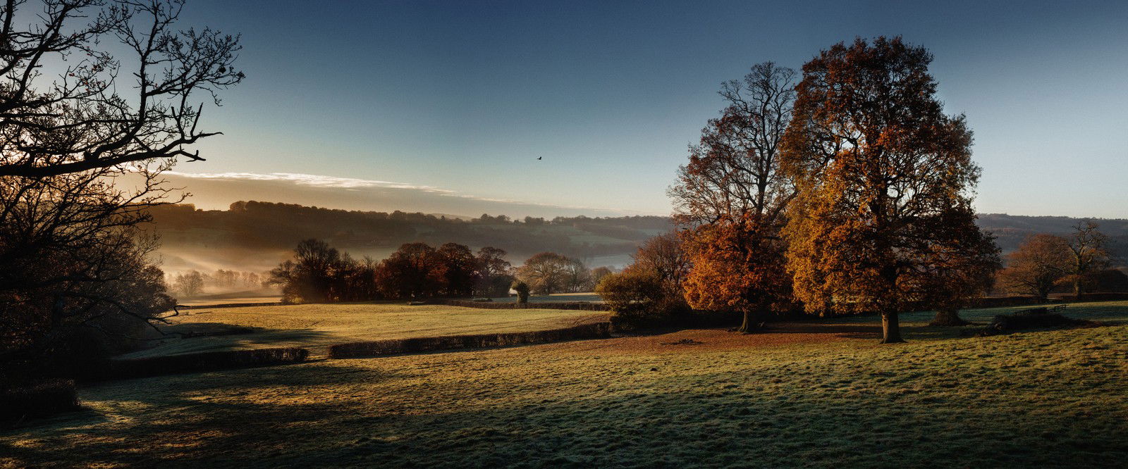 Glebe House Estate, Morning View by Justin Barton - Limited Edition. Edition of: 150. Signed.