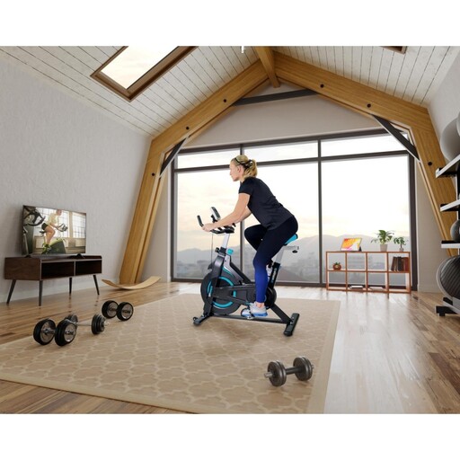 Bicicleta ergométrica Sparraw Fitness com volante de 6 kg