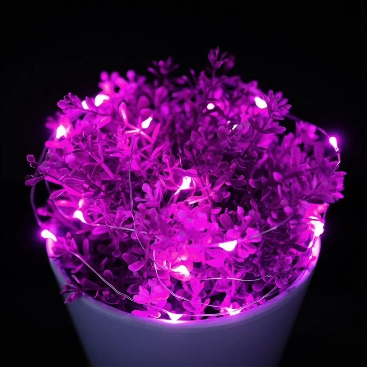 Wewoo Guirlande Violet 10m - 12V