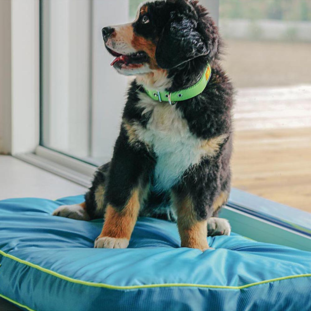 Ferplast panier chien chat - coussin orthopédique chien - lavable en machine - tapis chien - lit chat chien - imperméable &