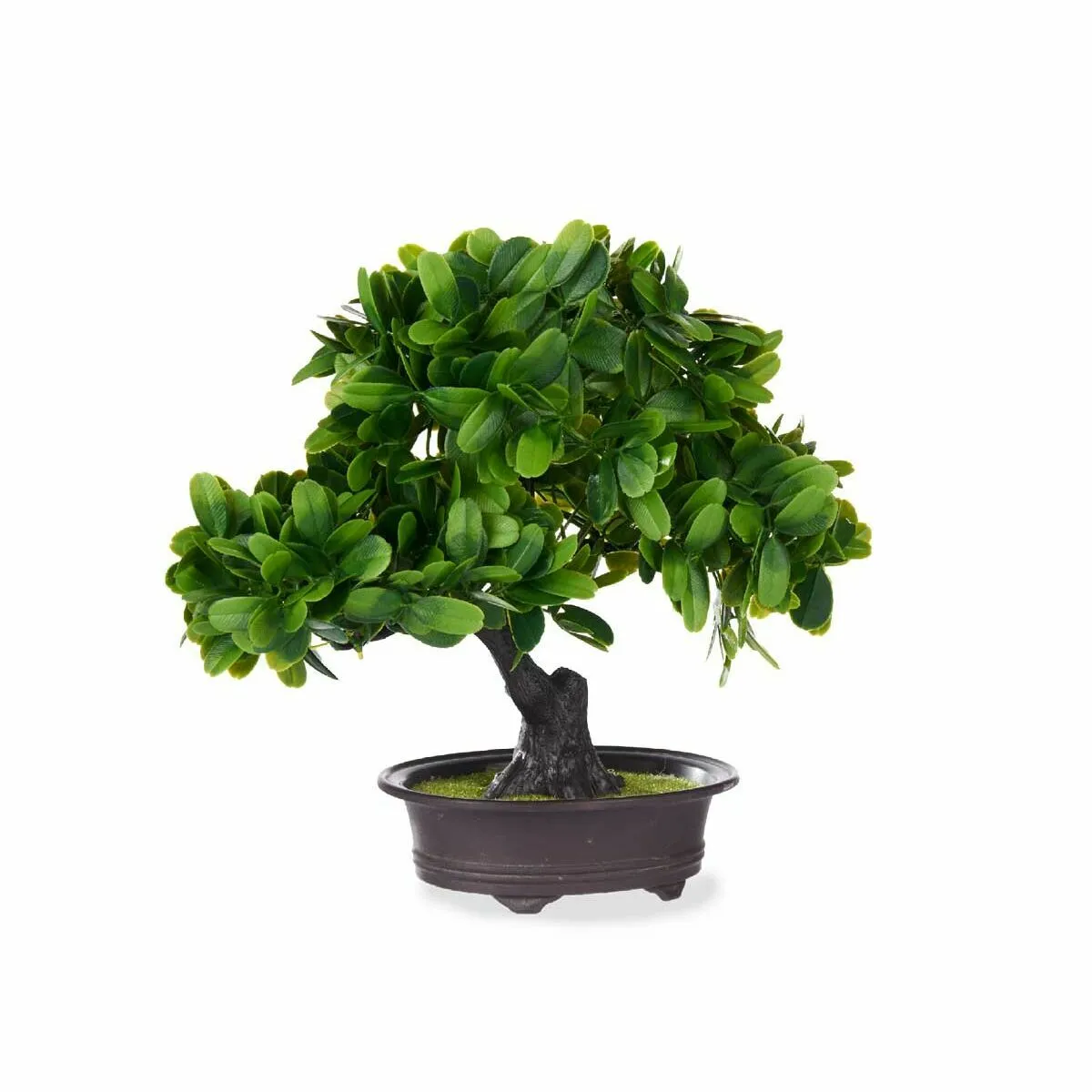 Ibergarden Bonsai Plastique