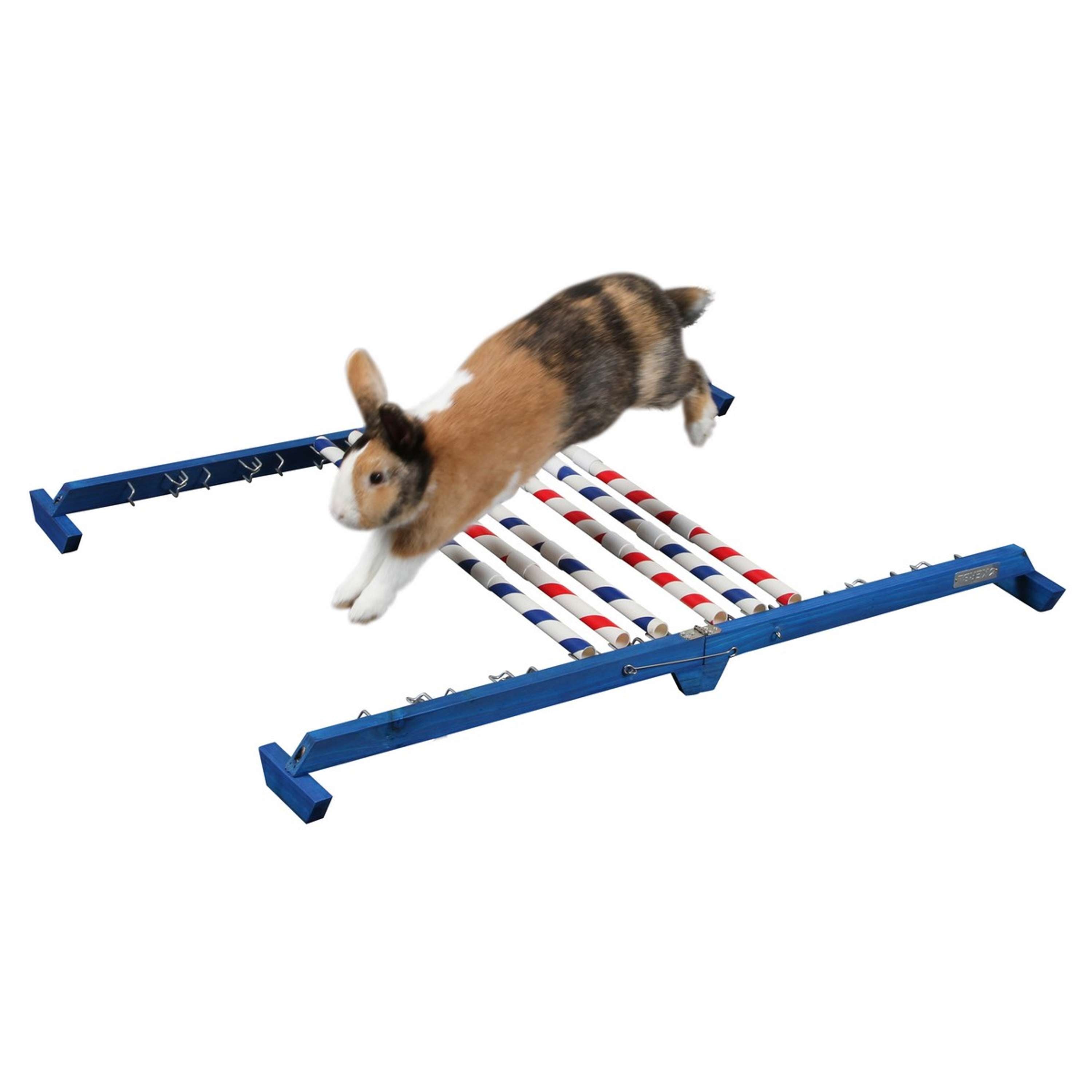 Kerbl Konijnenhindernis Agility 2
