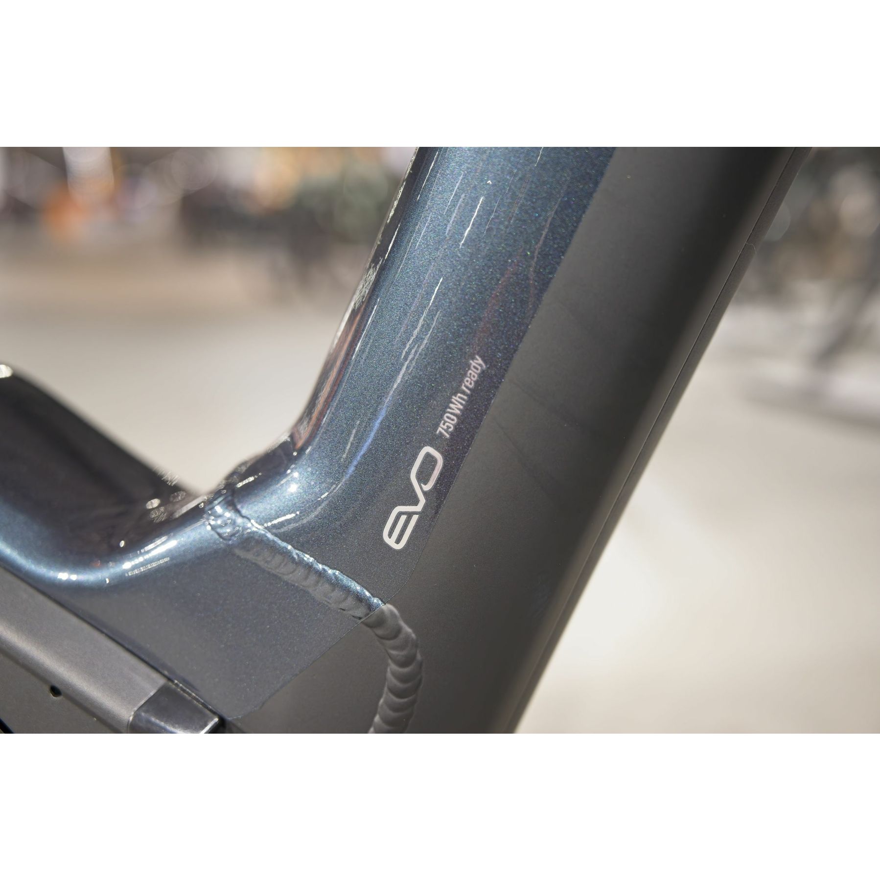 Pegasus Premio EVO 5F Lite Belt