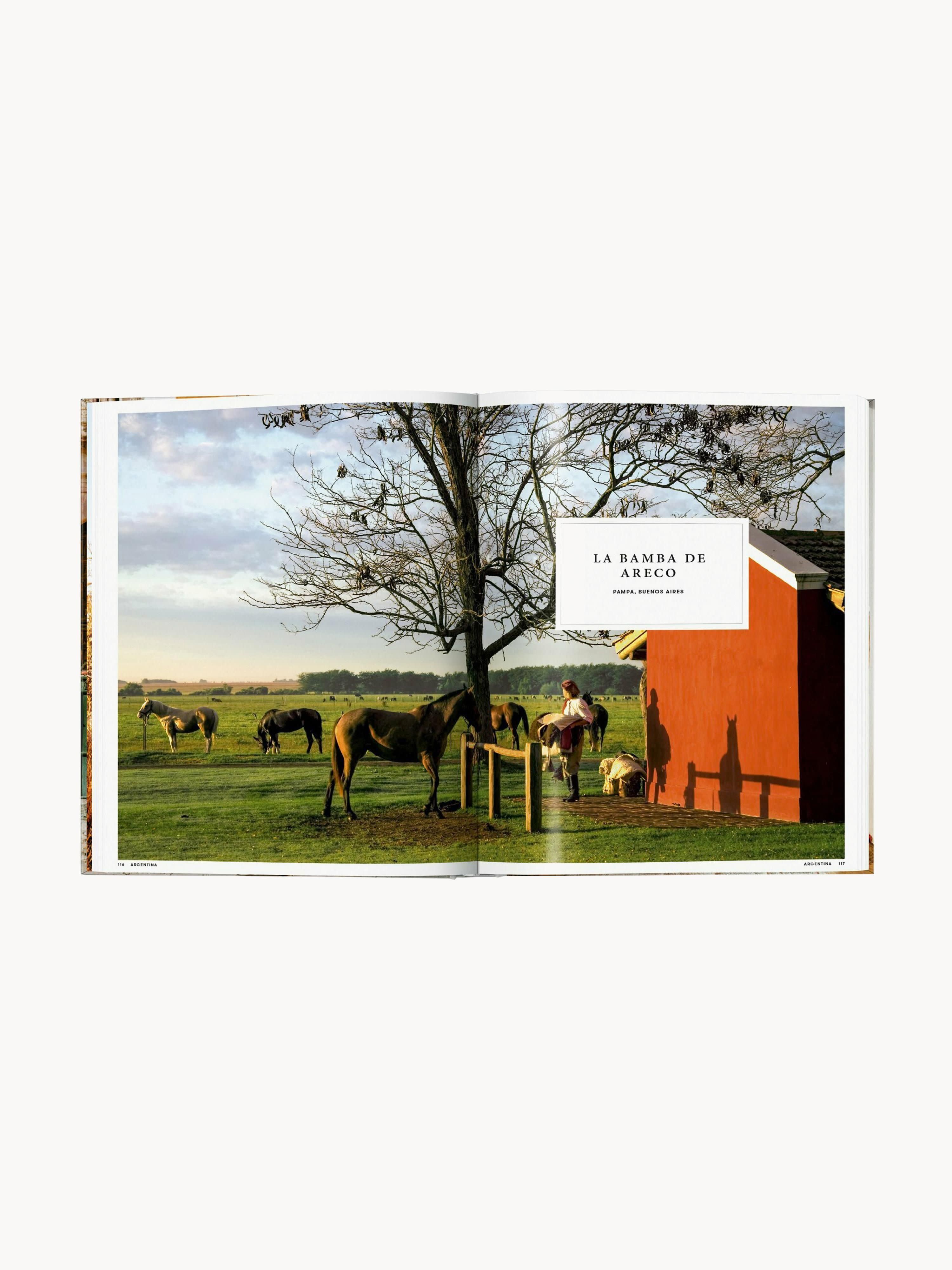 Geïllustreerd boek Great Escapes Latin America
