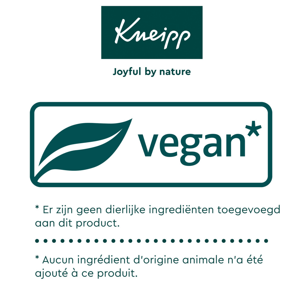 Kneipp ArnicaAll-Purpose Balm100 gr