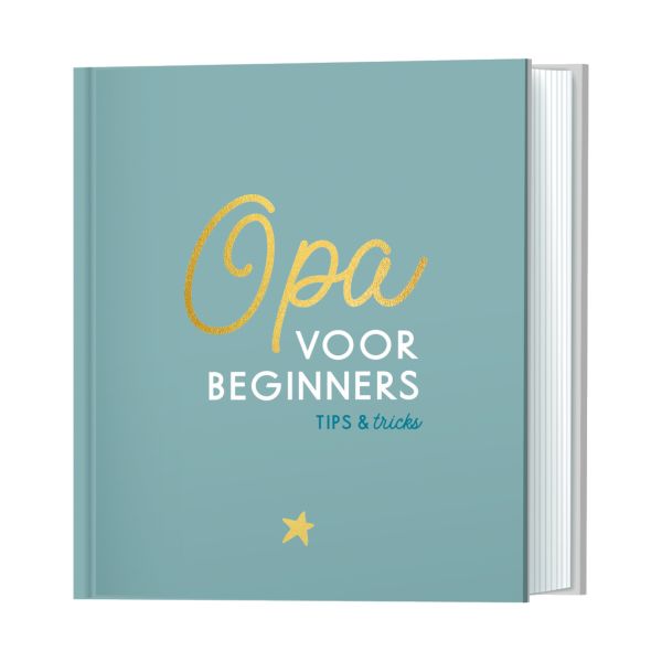 Lantaarn Opa Voor Beginners