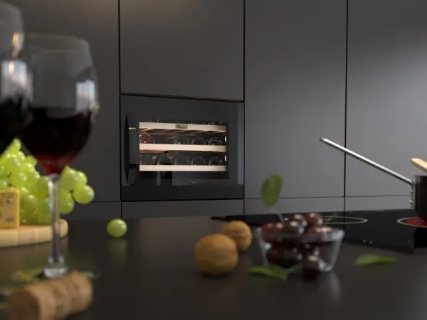 Thermex Winemex 24 - Vinkøler - til indbygning - bredde: 55.5 cm - dybde: 51.1 cm - højde: 44.7 cm - 51 liter - Klasse G - sort