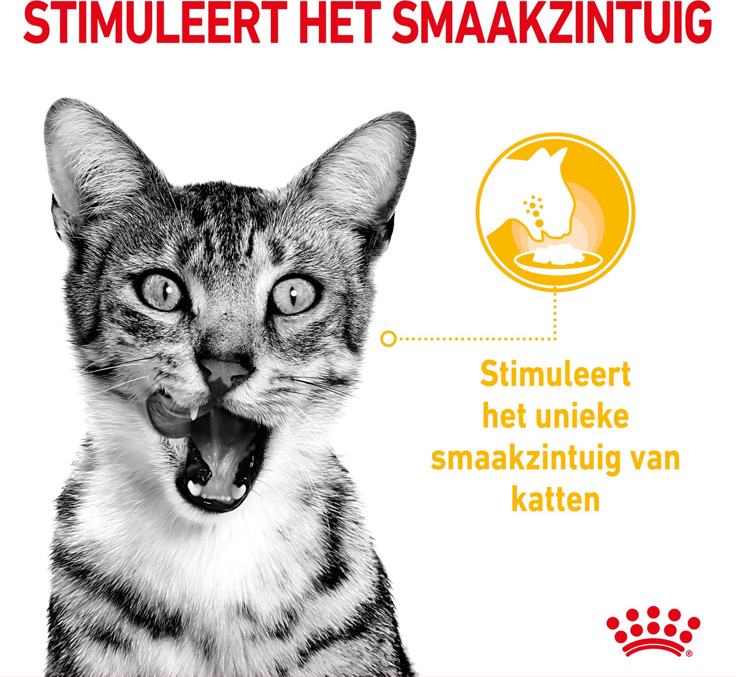 Royal Canin kattenvoer in saus Sensory Mix 85 g 12 stuks