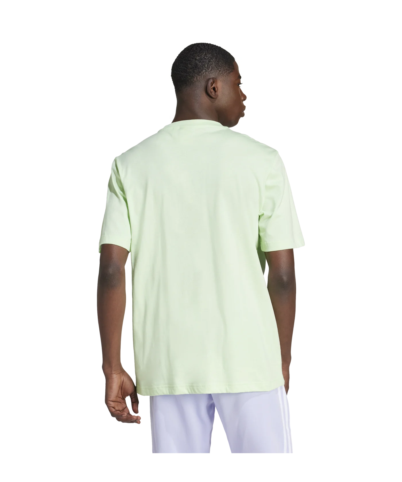 adidas Originals Adicolor Trefoil T-Shirt Grün