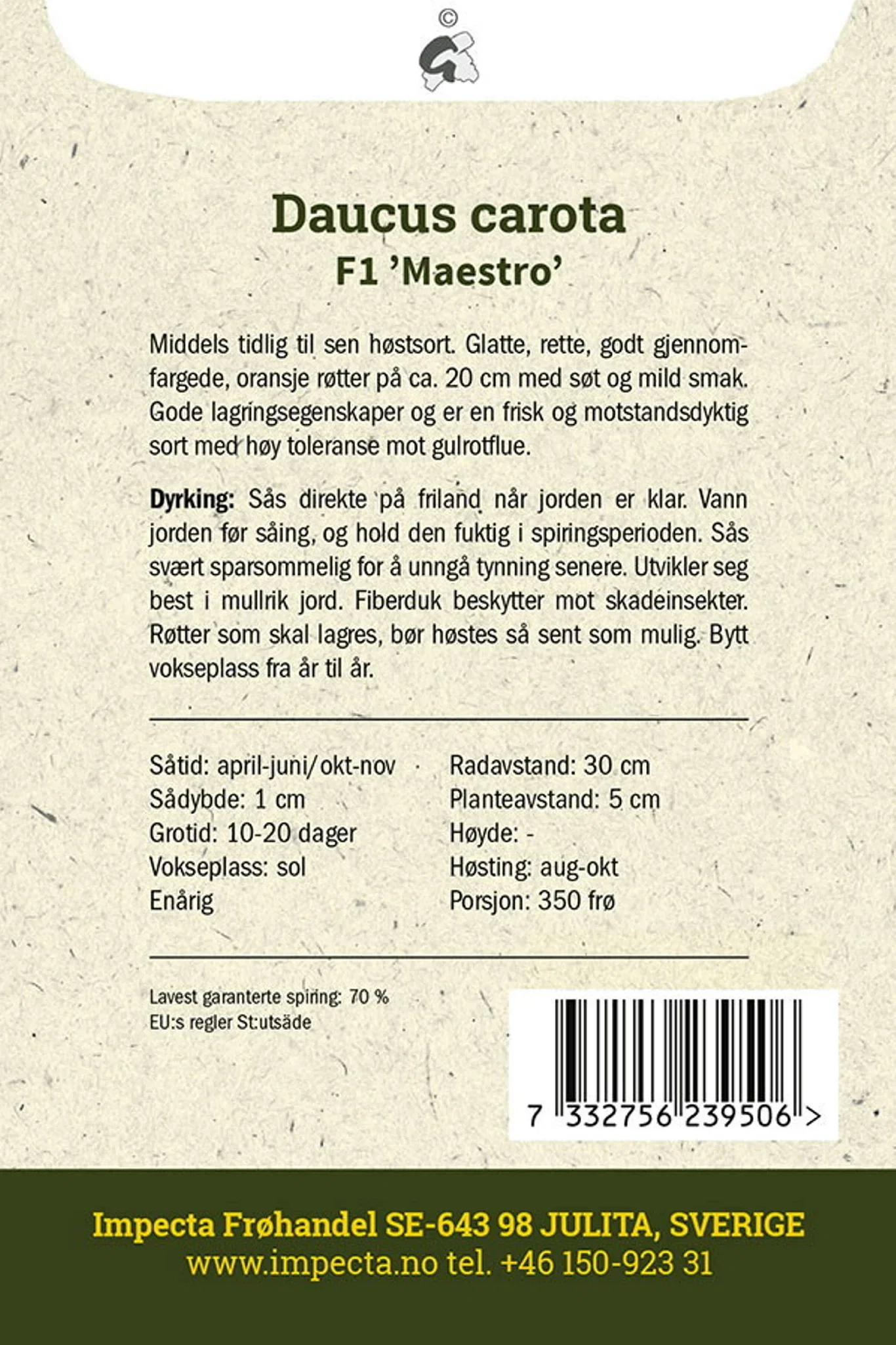 Daucus carota F1 'Maestro' Høstgulrot F1 'Maestro'
