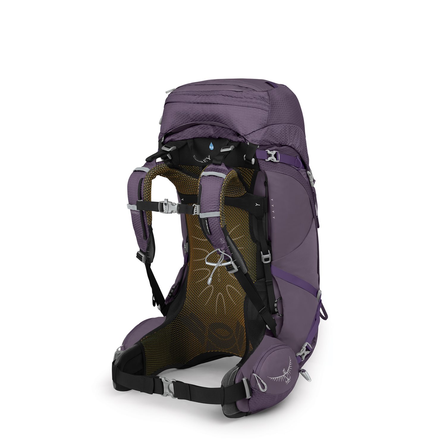 Osprey Aura AG 50 WM/L enchantment purple