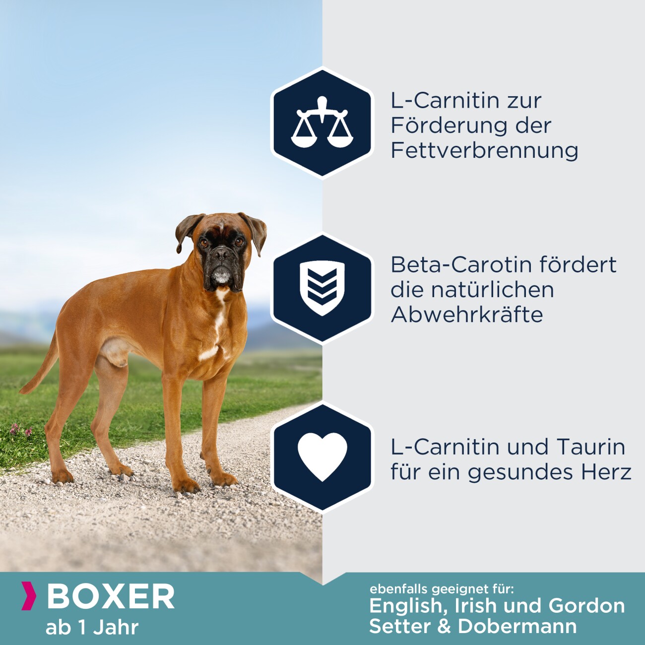 EUKANUBA Trockenfutter Hund Breed Specific Boxer Adult 12 kg