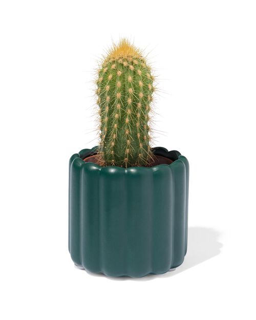 pot de fleur Ø 6,5 x 7 cm céramique vert foncé