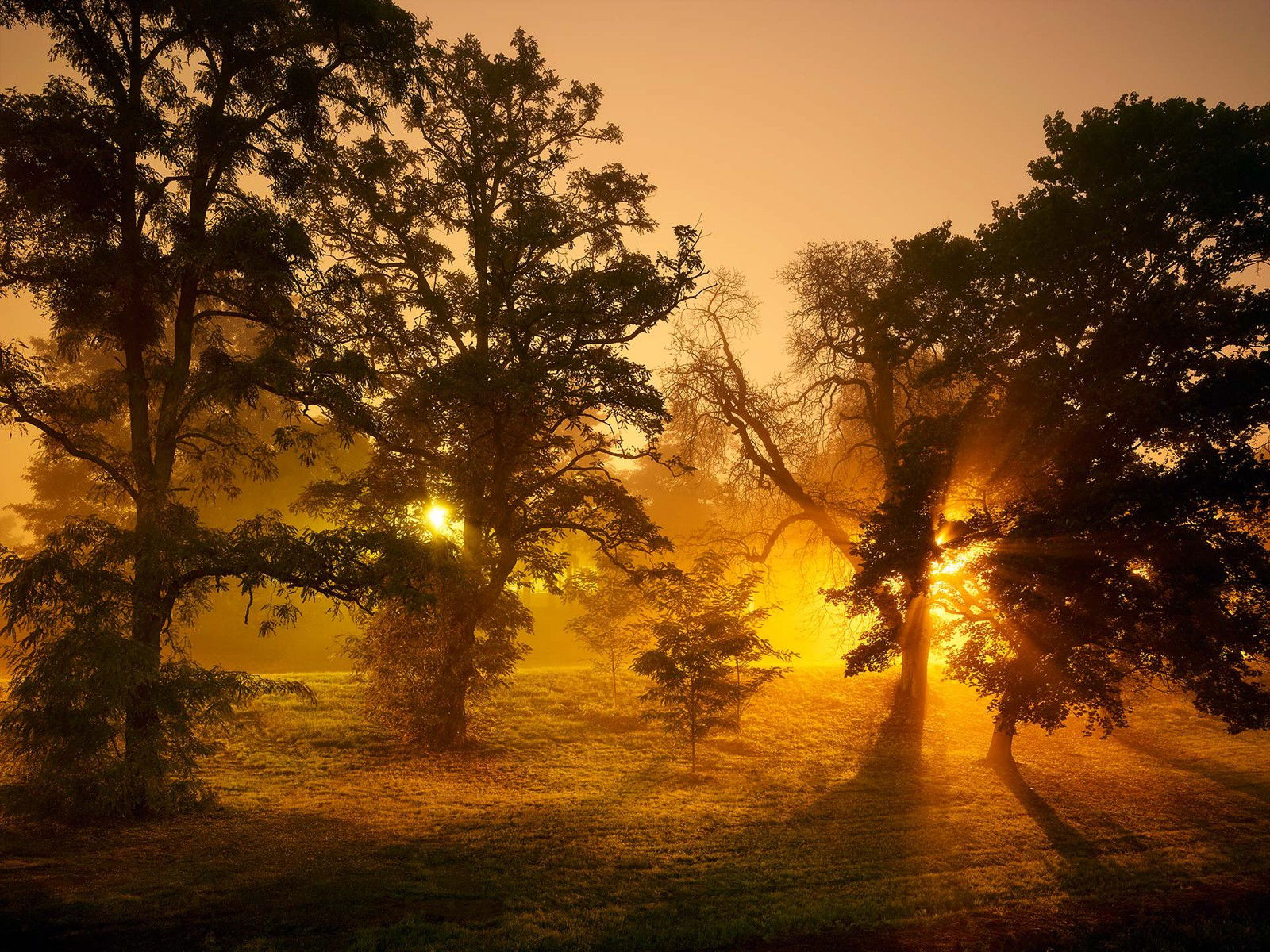 Two Suns by Horst & Daniel Zielske - Limited Edition. Edition of: 150. Signed.