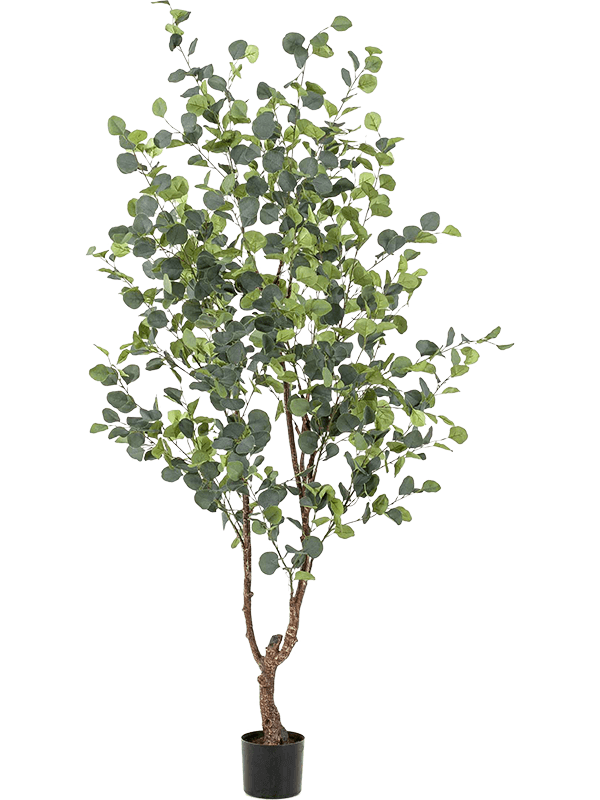 Fleurdirect Eucalypthus kunstplant