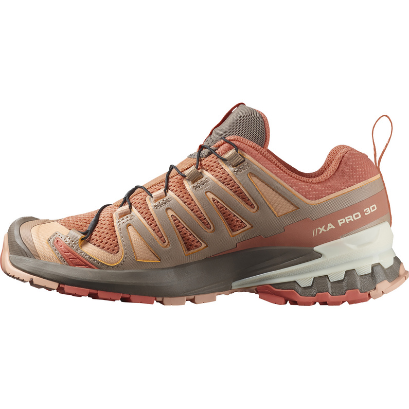 Salomon XA Pro 3D V9 Schuhe