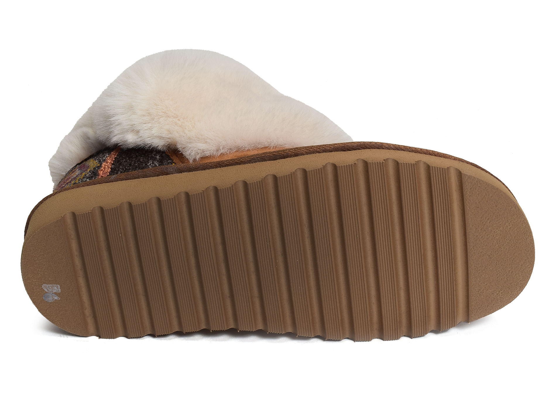 Capella camel