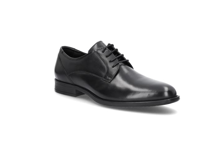Skinn dressko