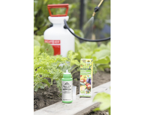 Spruzit NEEM Groentebestrijding 75ml