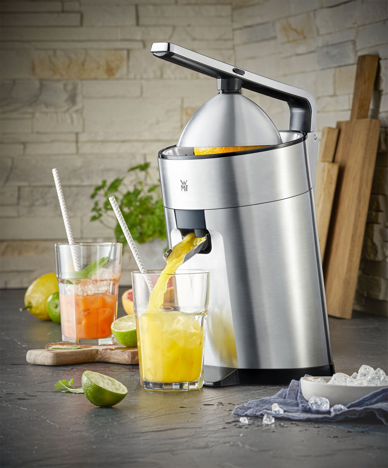 WMF Zitruspresse PROFI PLUS 160 Watt silber/schwarz Cromargan®